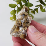  Vesuvianite | Famous Crystal Mineral | Golden Brown Idocrase | 46 grams | Sierra de Cruces, Mexico 5