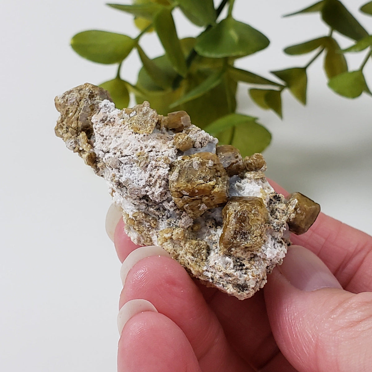  Vesuvianite | Famous Crystal Mineral | Golden Brown Idocrase | 46 grams | Sierra de Cruces, Mexico 6