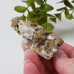  Vesuvianite | Famous Crystal Mineral | Golden Brown Idocrase | 46 grams | Sierra de Cruces, Mexico 6