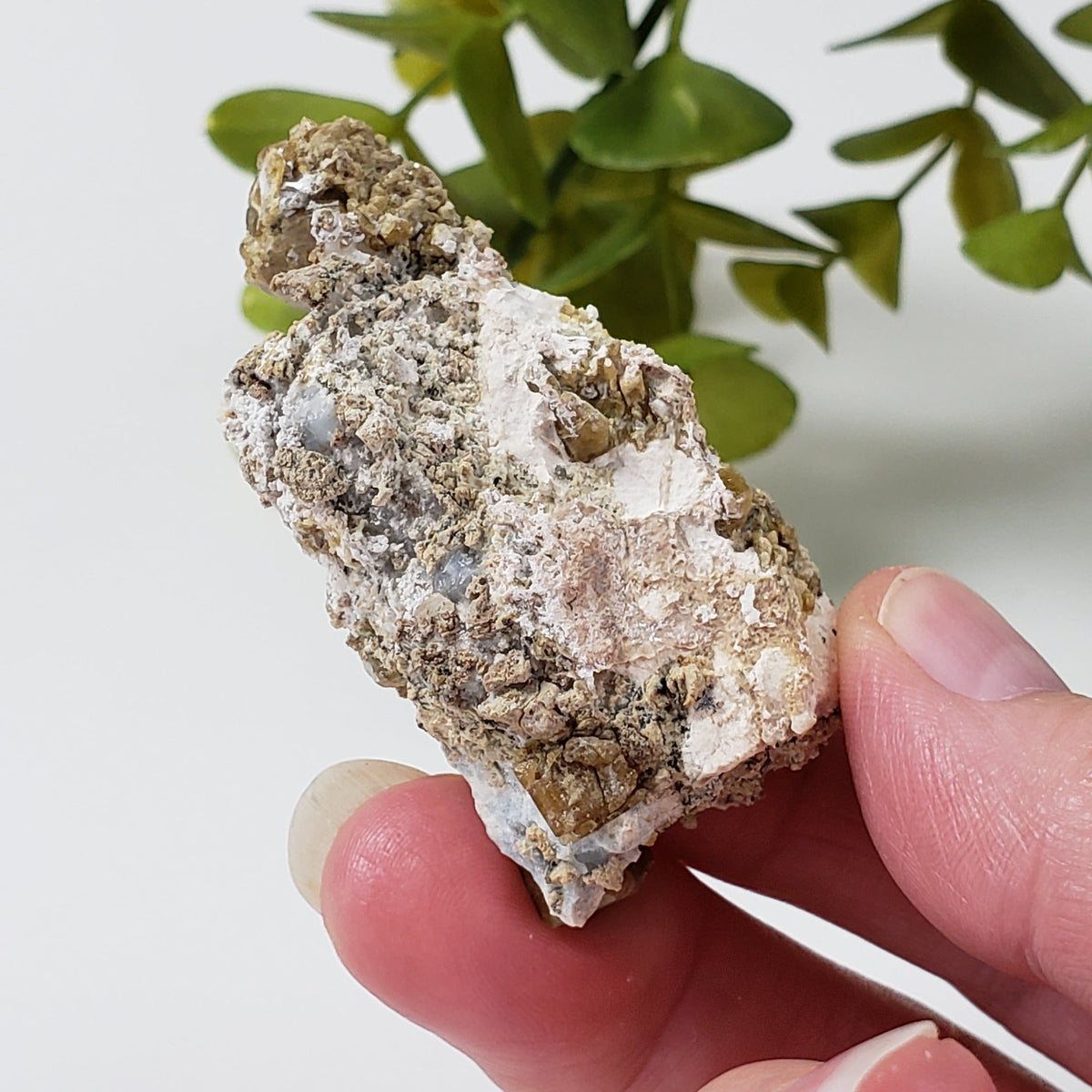  Vesuvianite | Famous Crystal Mineral | Golden Brown Idocrase | 46 grams | Sierra de Cruces, Mexico 7