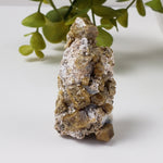  Vesuvianite | Famous Crystal Mineral | Golden Brown Idocrase | 46 grams | Sierra de Cruces, Mexico 1