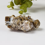  Vesuvianite | Famous Crystal Mineral | Golden Brown Idocrase | 46 grams | Sierra de Cruces, Mexico 2