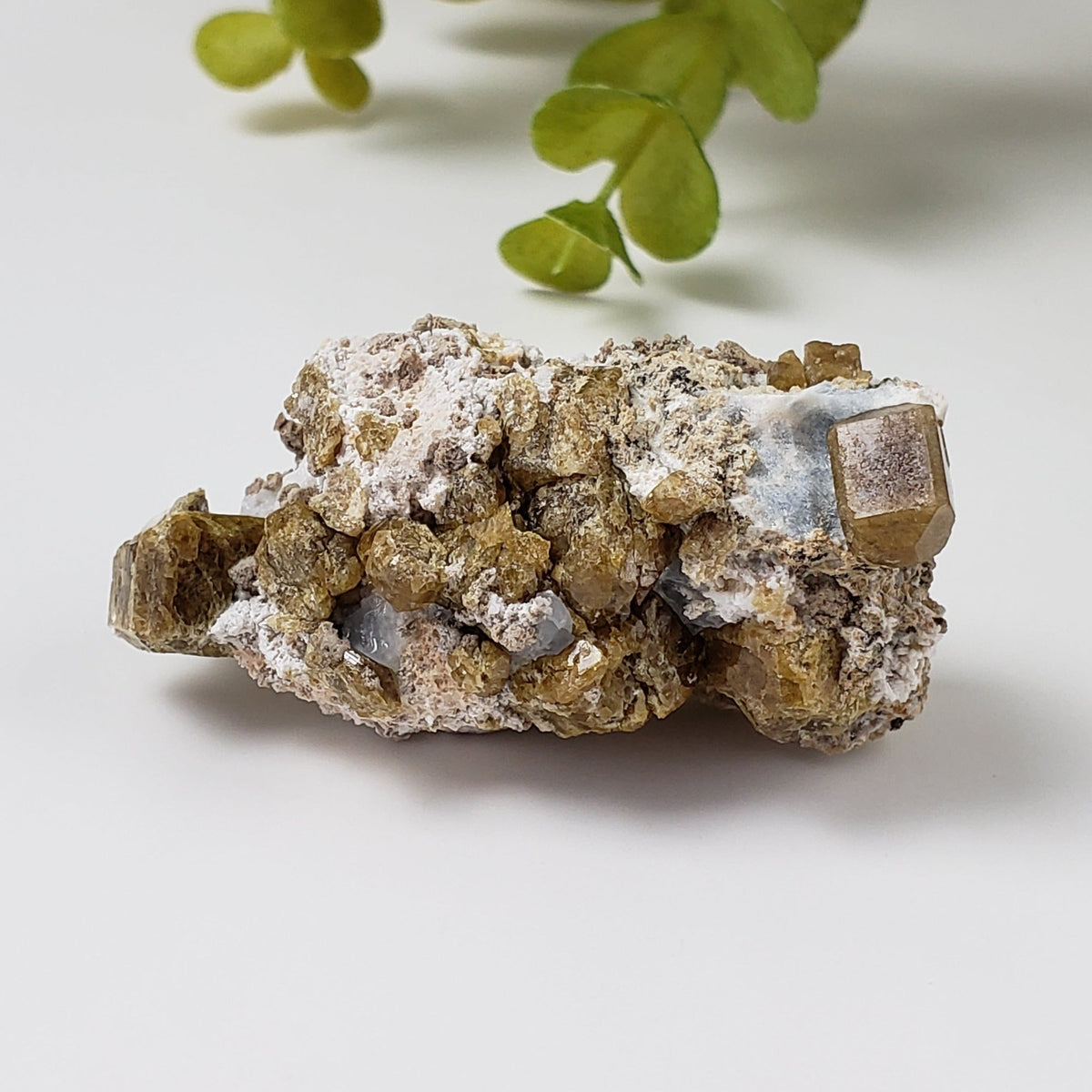  Vesuvianite | Famous Crystal Mineral | Golden Brown Idocrase | 46 grams | Sierra de Cruces, Mexico 3