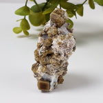  Vesuvianite | Famous Crystal Mineral | Golden Brown Idocrase | 46 grams | Sierra de Cruces, Mexico 