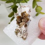  Vesuvianite | Golden Brown Idocrase | 15.1 gr | Sierra de Cruces, Mexico | SO24 2