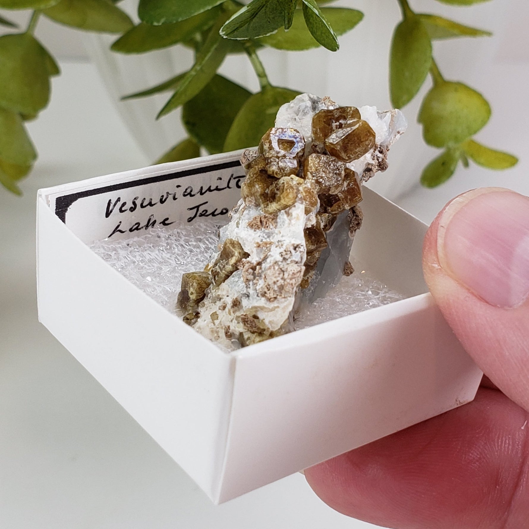  Vesuvianite | Golden Brown Idocrase | 15.1 gr | Sierra de Cruces, Mexico | SO24 6