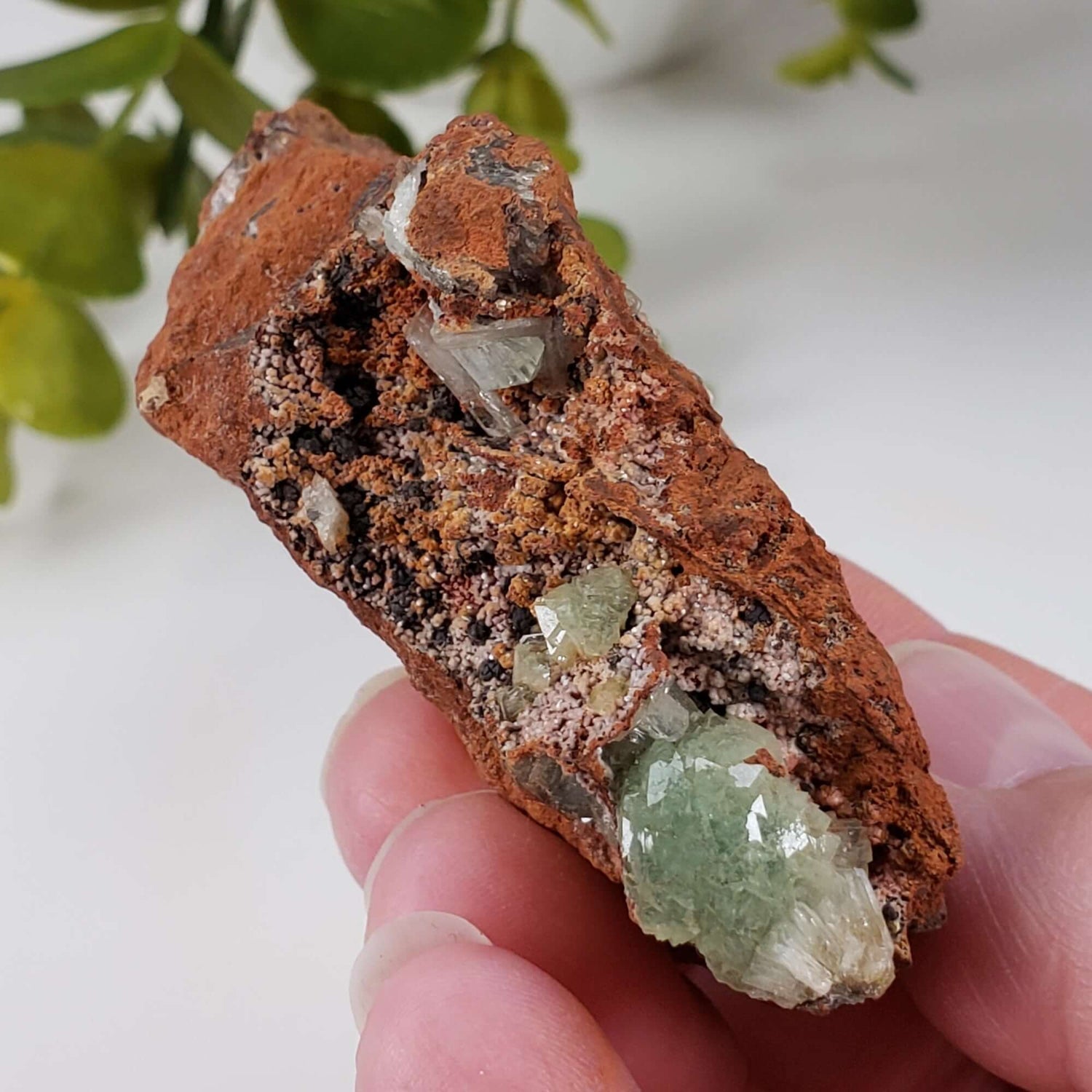Adamite Crystals on Matrix | 77.1 grams | Mina Ojuela, Mapimi, Durango, Mexico