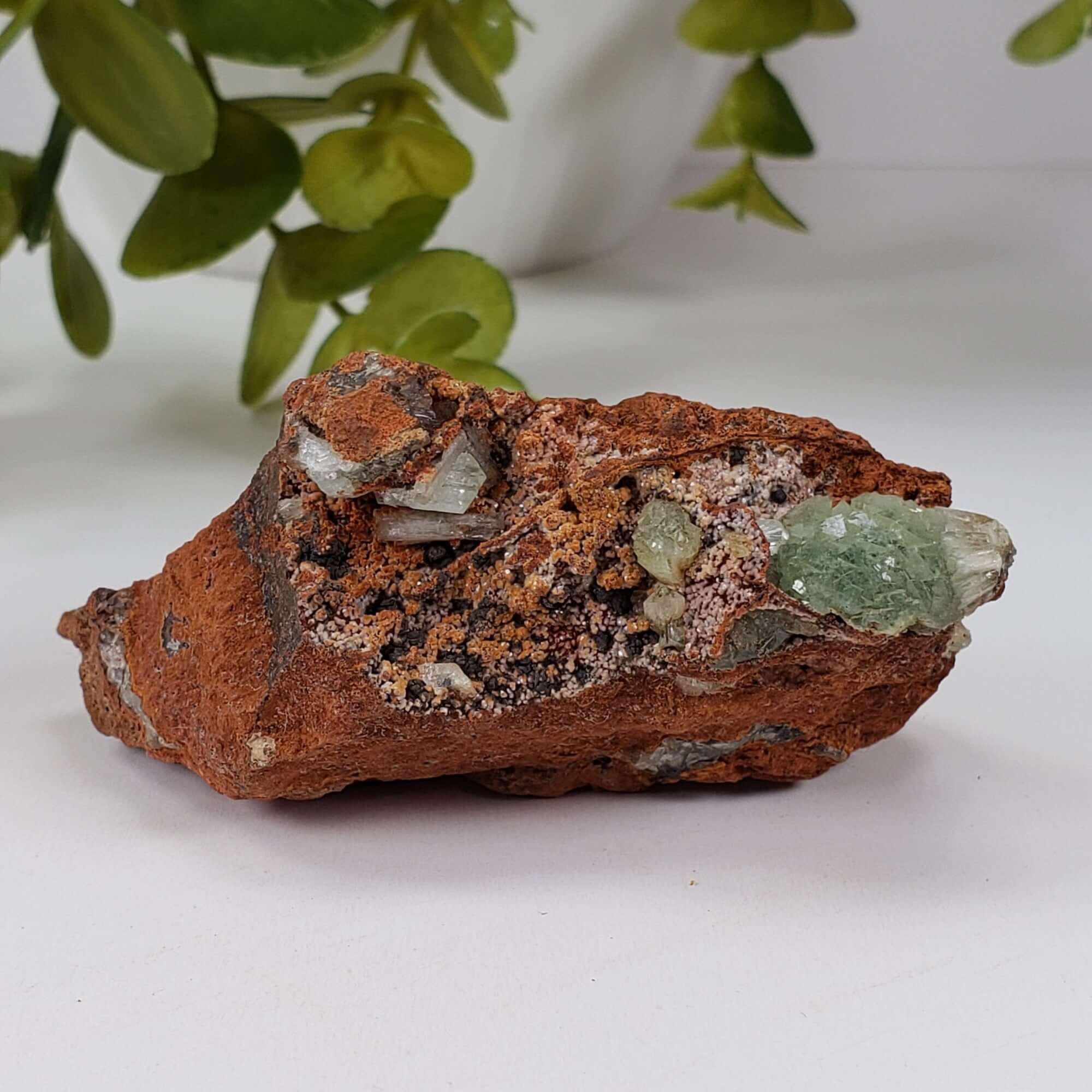 Adamite Crystals on Matrix mined at Mina Ojuela, Mexico – Canagem.com