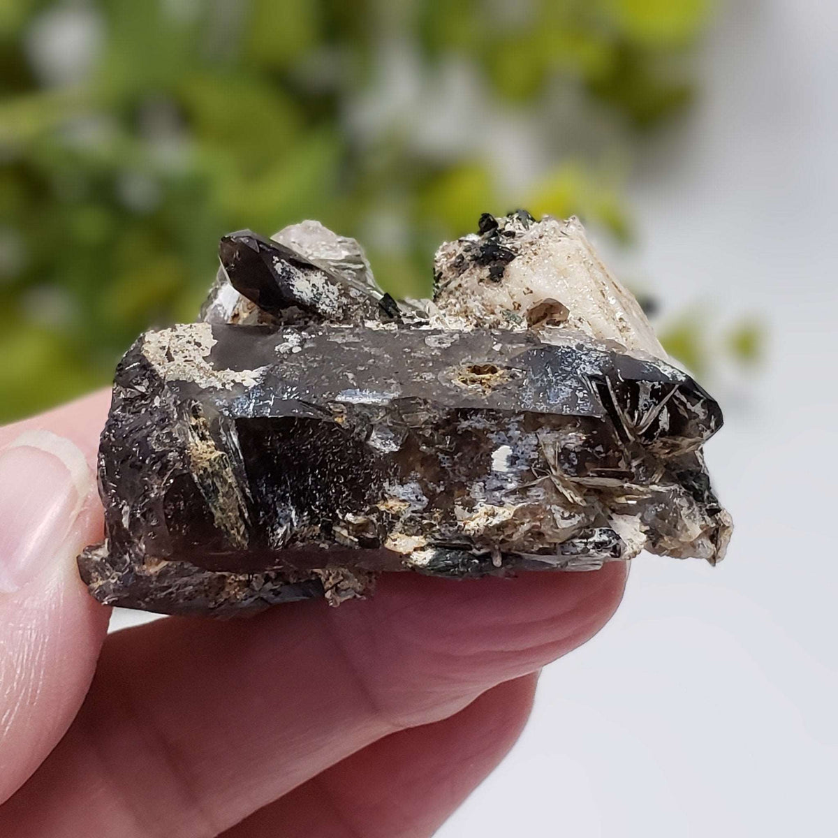 Aegirine on Microcline Crystal | 78.2gr | Mount Malosa, Zomba, Malawi | Canagem.com