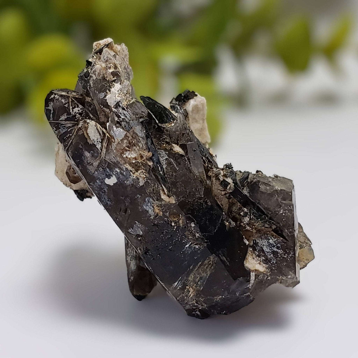 Aegirine on Microcline Crystal | 78.2gr | Mount Malosa, Zomba, Malawi | Canagem.com