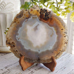  Agate | Polished Agate Slice | Natural Agate | Uruguay 