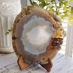  Agate | Polished Agate Slice | Natural Agate | Uruguay 