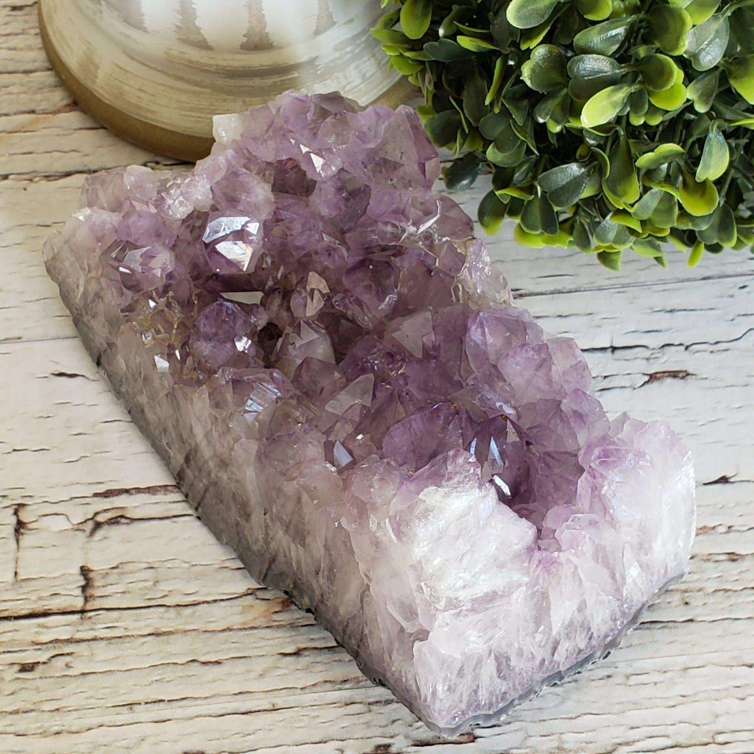  Amethyst Crystal Partial Amethyst Geode | 1.24 KG | Brazil 