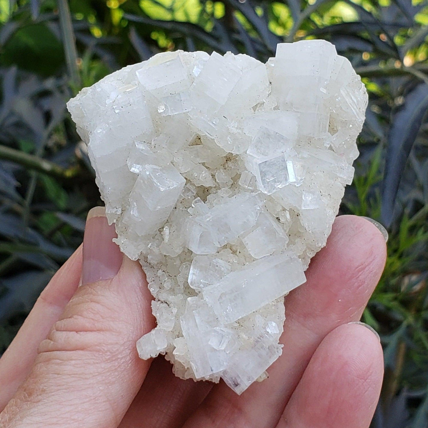  Apophyllite and Prehnite Cluster | 131 grams | Jalgaon, India 