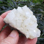  Apophyllite and Prehnite Cluster | 131 grams | Jalgaon, India 