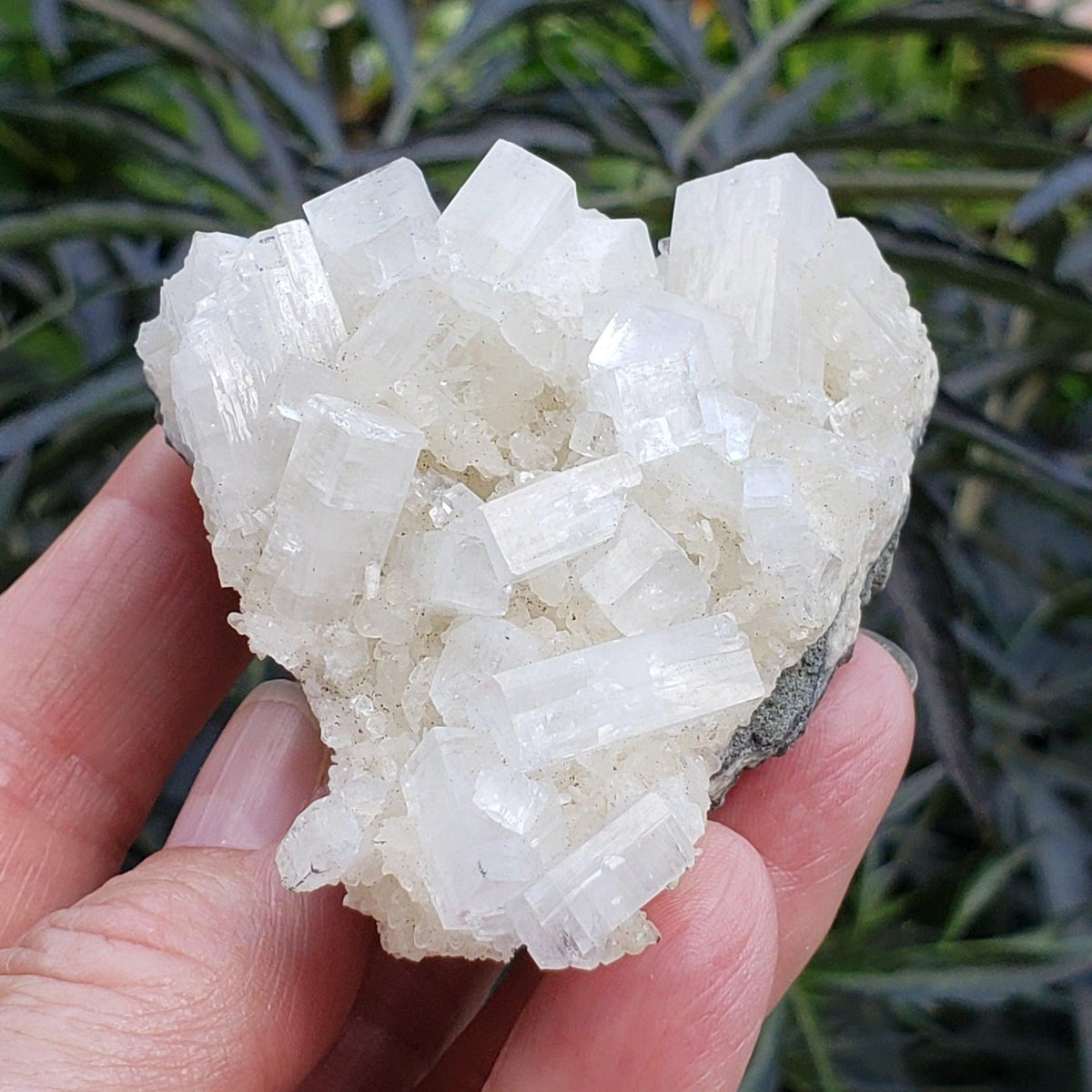  Apophyllite and Prehnite Cluster | 131 grams | Jalgaon, India 