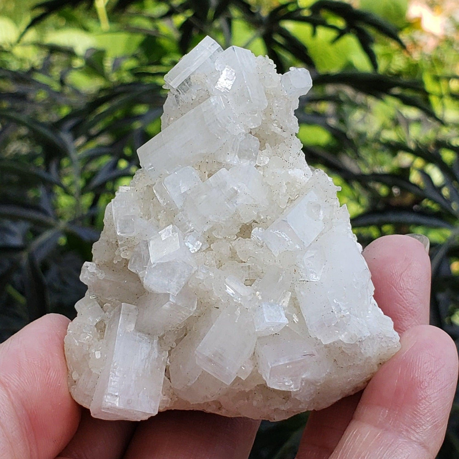  Apophyllite and Prehnite Cluster | 131 grams | Jalgaon, India 