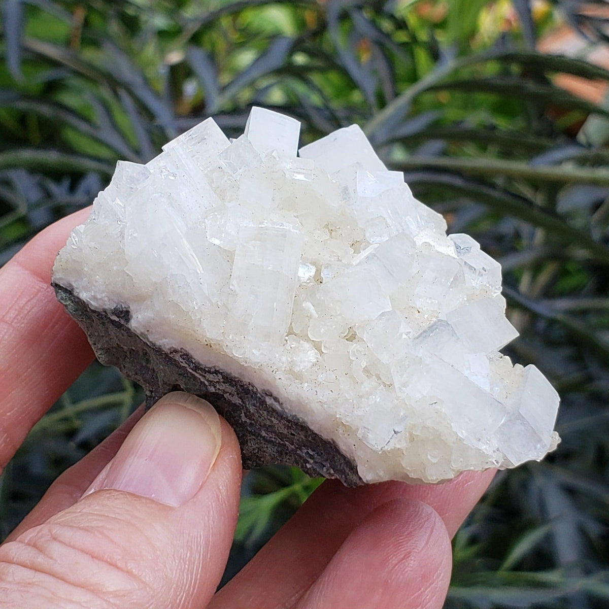  Apophyllite and Prehnite Cluster | 131 grams | Jalgaon, India 