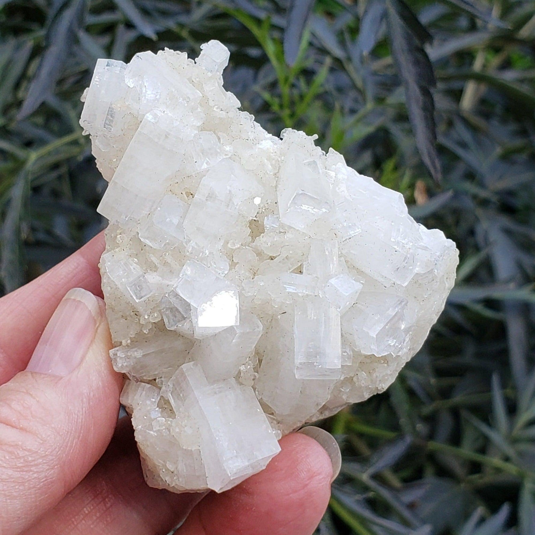  Apophyllite and Prehnite Cluster | 131 grams | Jalgaon, India 