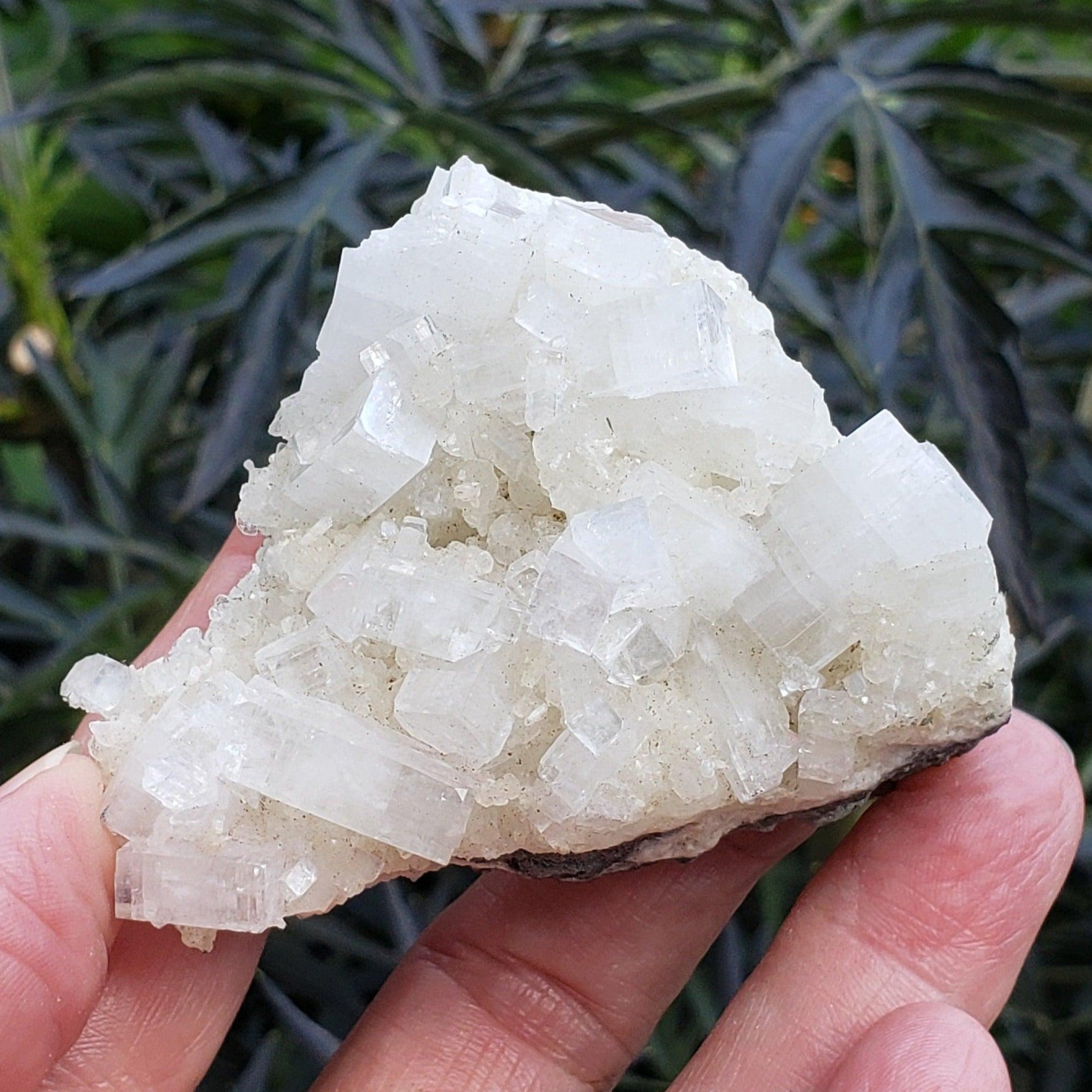  Apophyllite and Prehnite Cluster | 131 grams | Jalgaon, India 