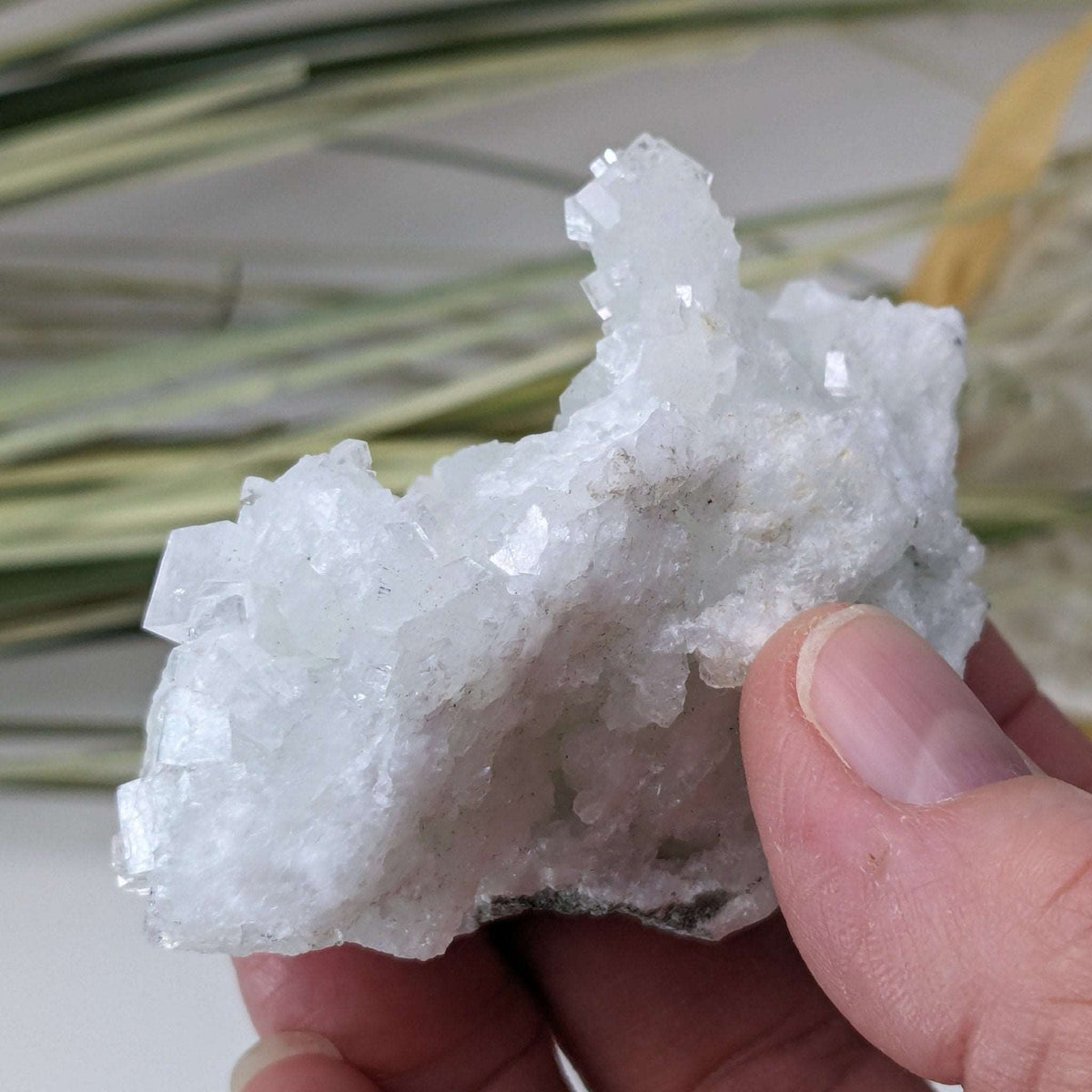  Apophyllite and Prehnite Cluster Crystal | 104 grams | Mumbai, India 