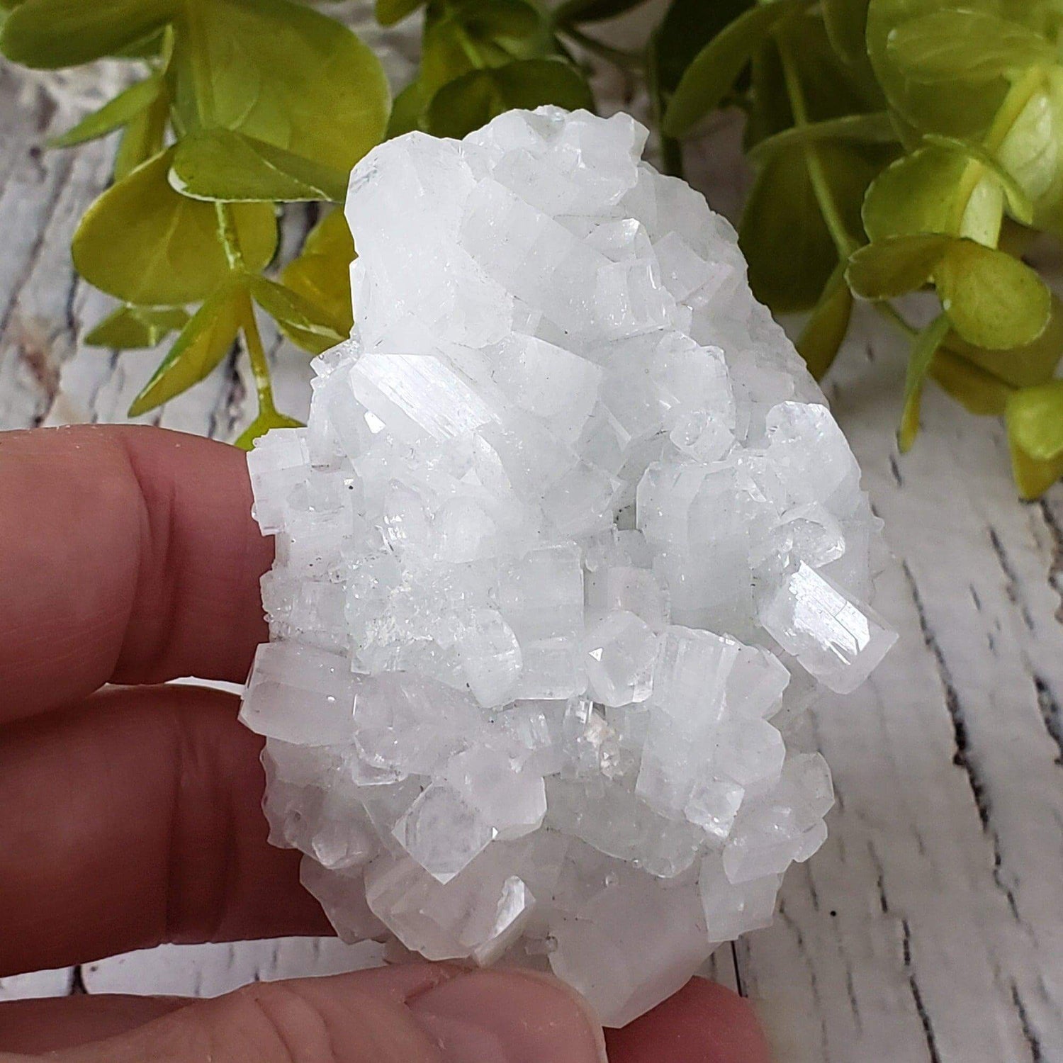  Apophyllite and Prehnite Cluster Crystal | 104 grams | Mumbai, India 