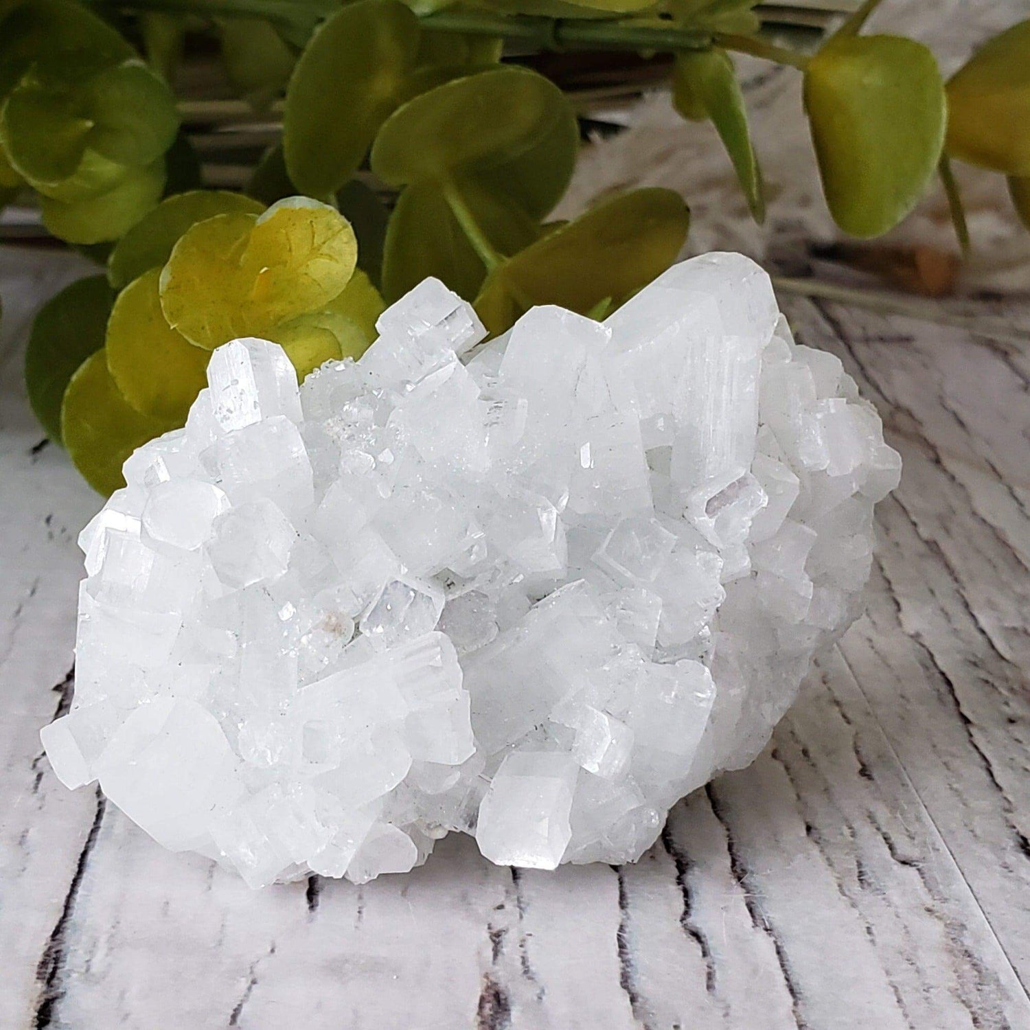  Apophyllite and Prehnite Cluster Crystal | 104 grams | Mumbai, India 