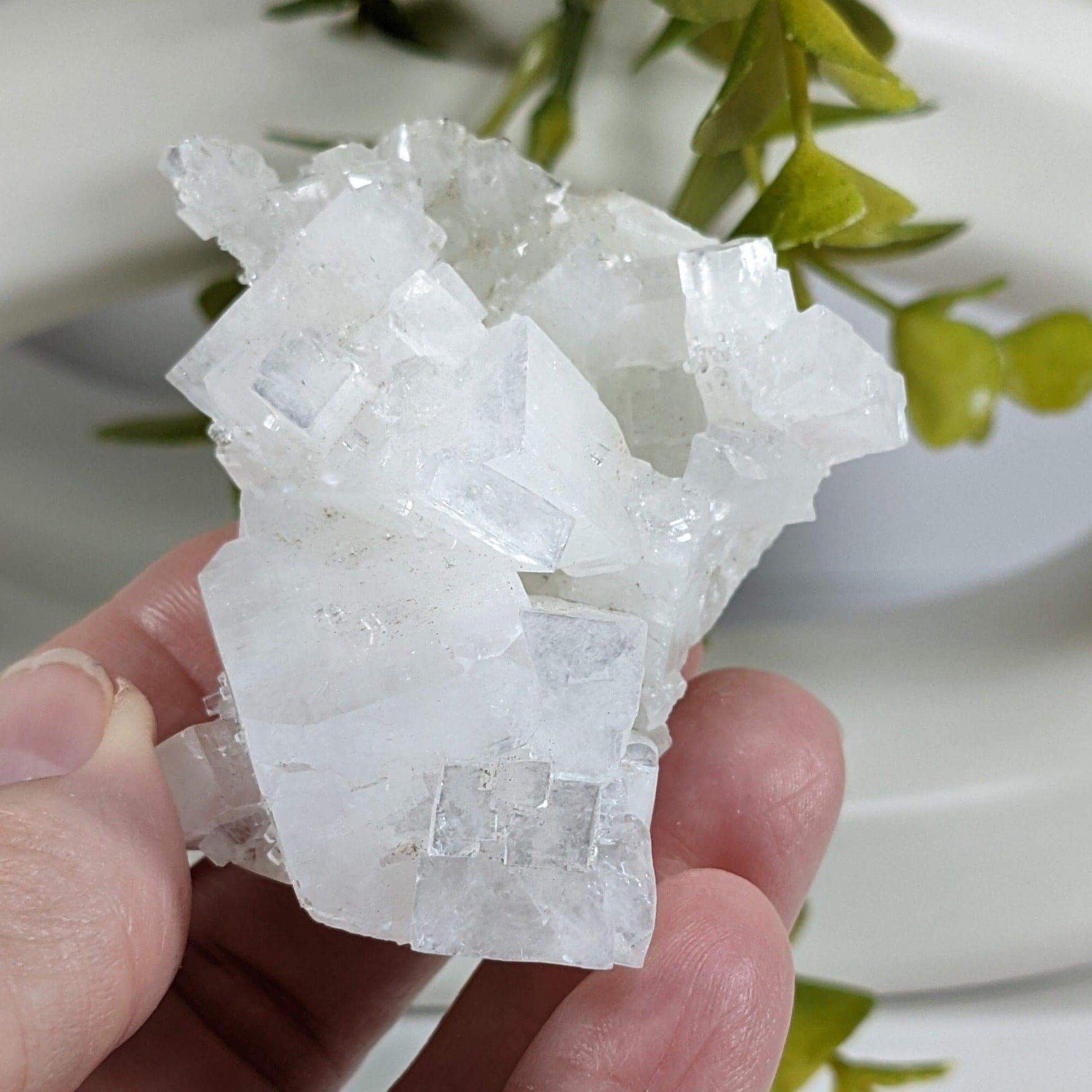 Apophyllite and Prehnite Crystal Cluster | 100 grams | Mumbai, India