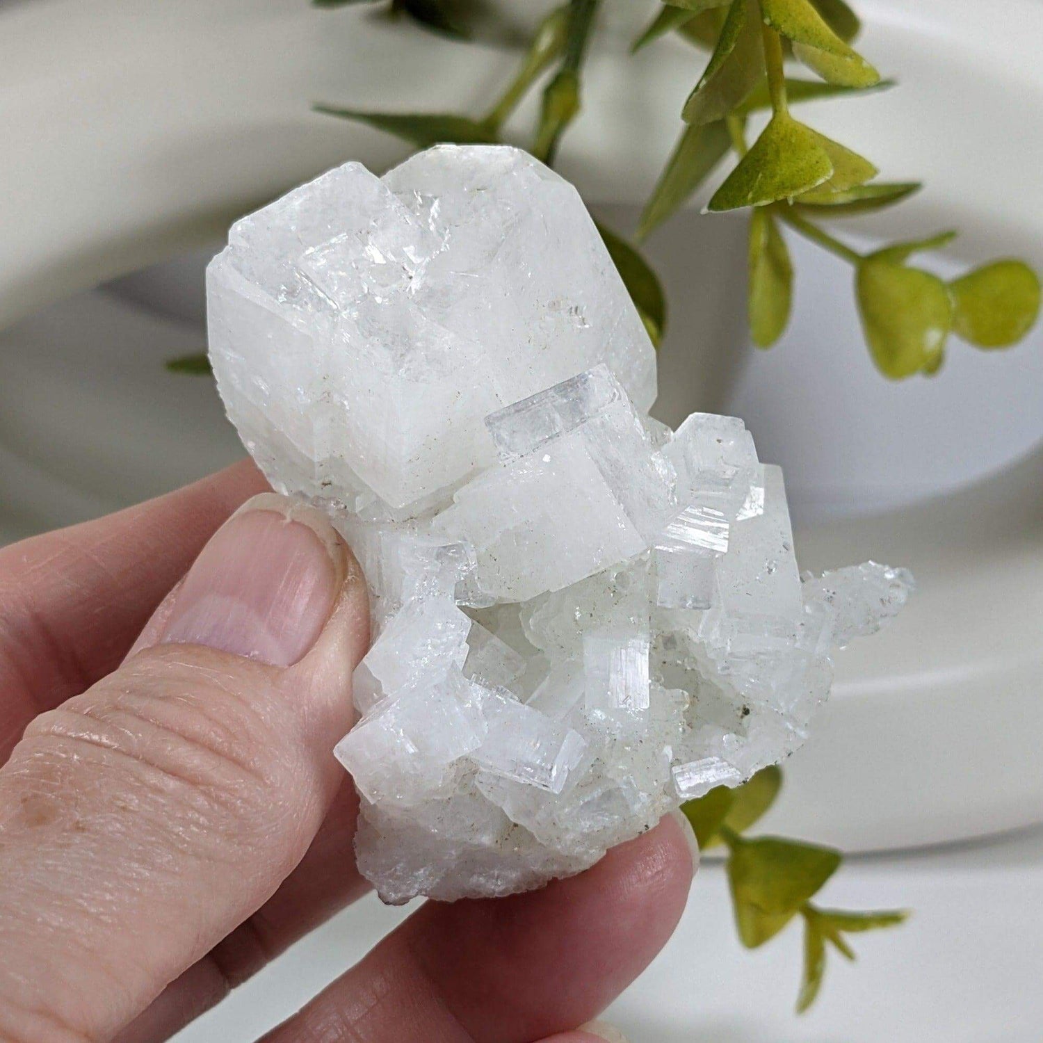 Apophyllite and Prehnite Crystal Cluster | 100 grams | Mumbai, India | Canagem.com