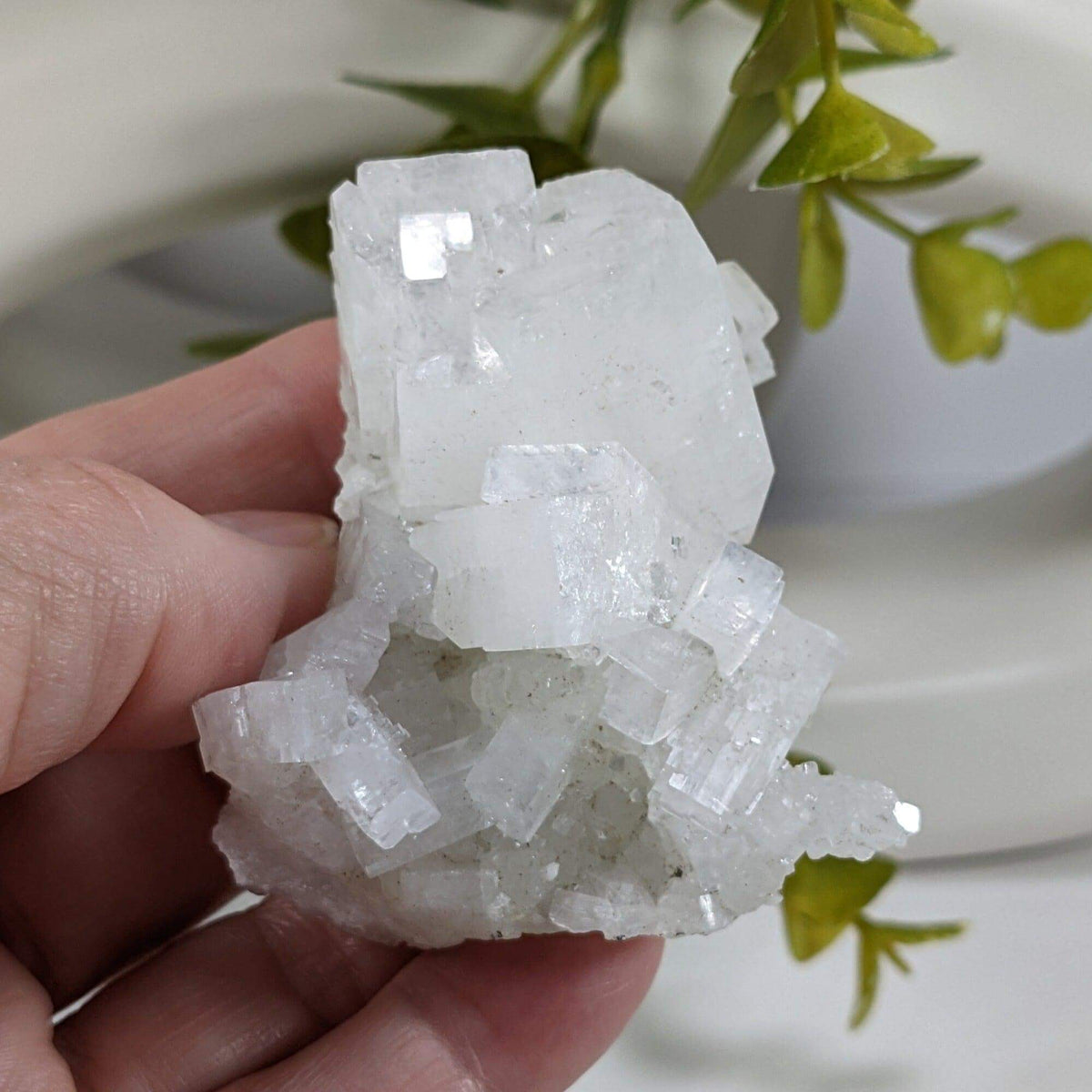 Apophyllite and Prehnite Crystal Cluster | 100 grams | Mumbai, India