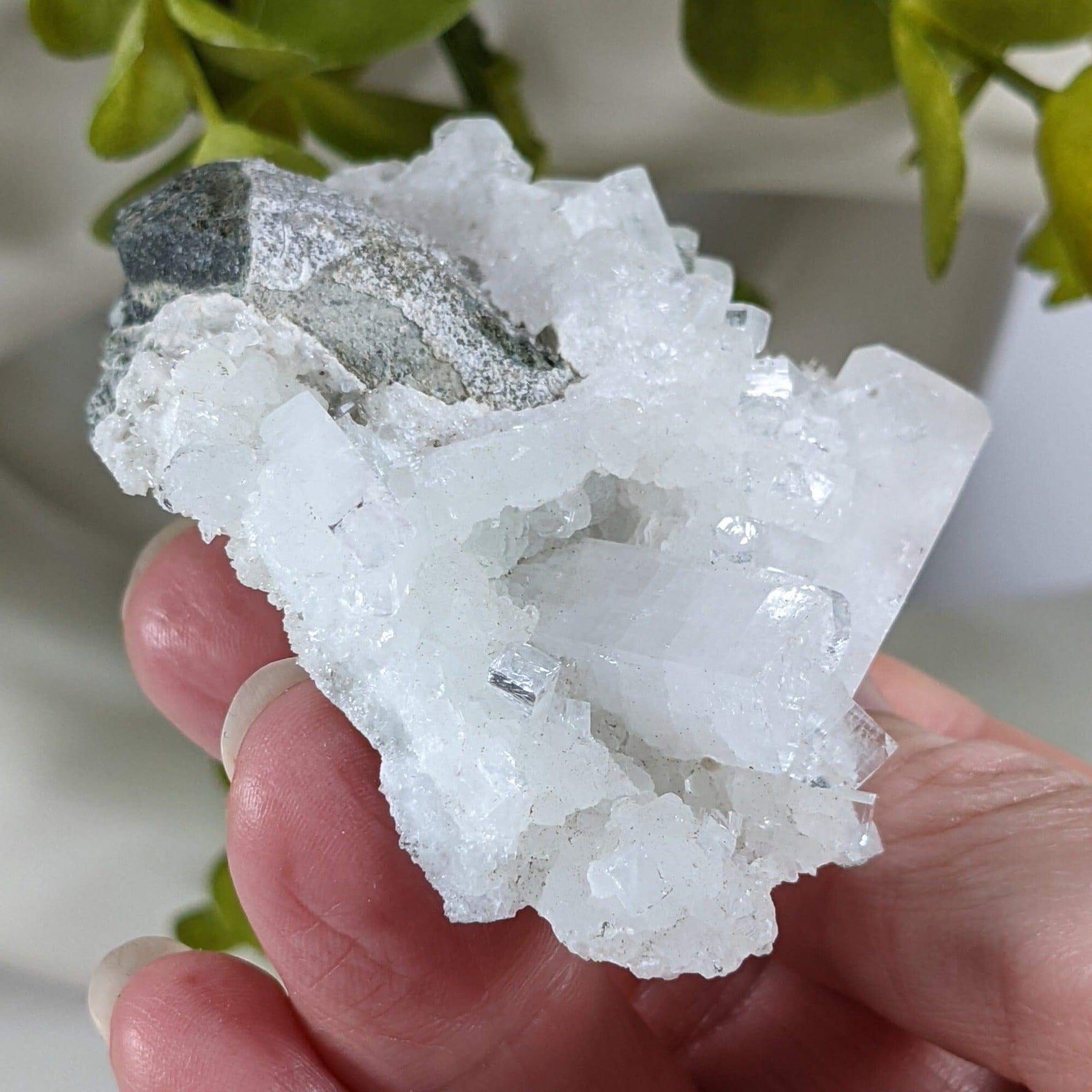 Apophyllite and Prehnite Crystal Cluster | 104 grams | Mumbai, India