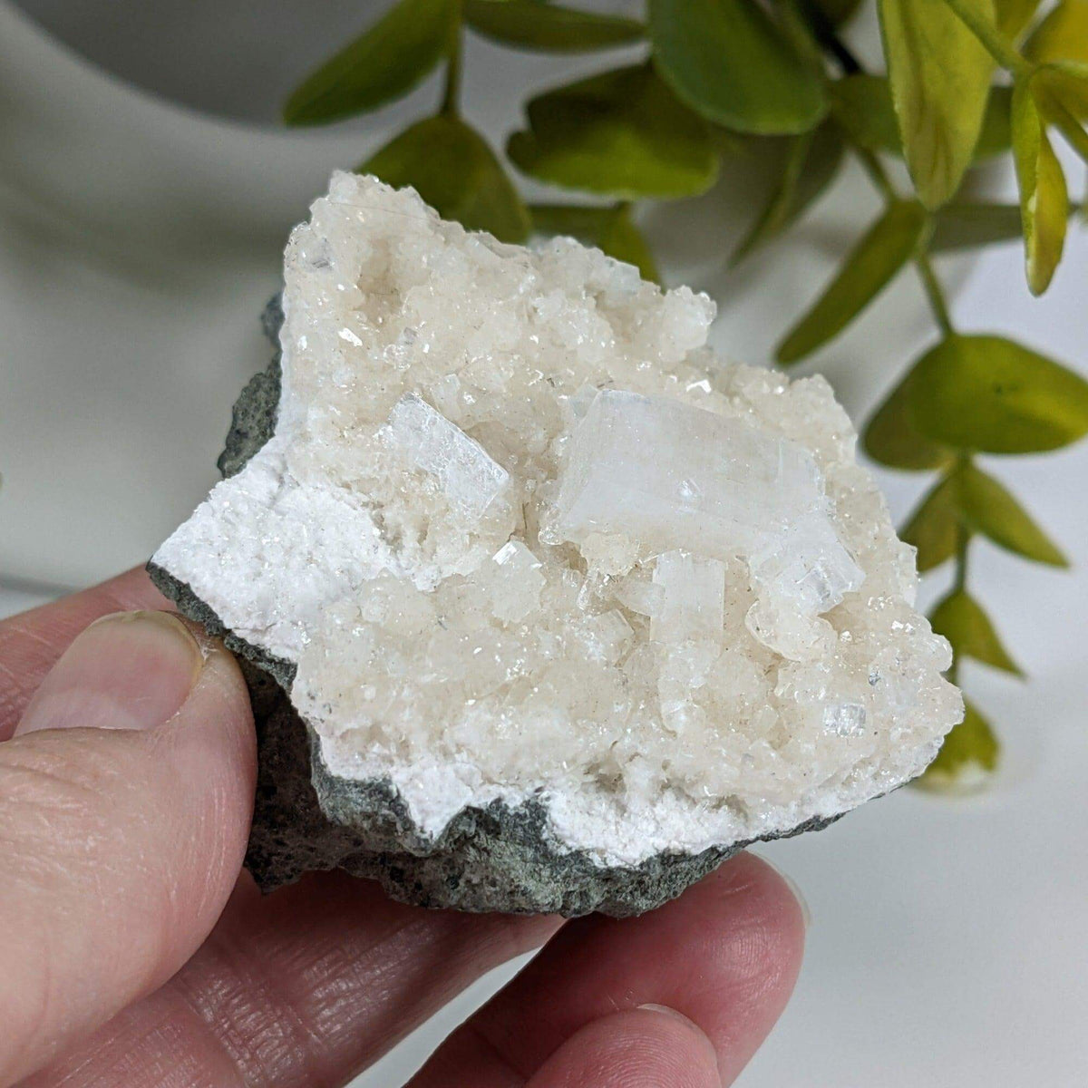 Apophyllite and Prehnite Crystal Cluster | 153 grams | Mumbai, India