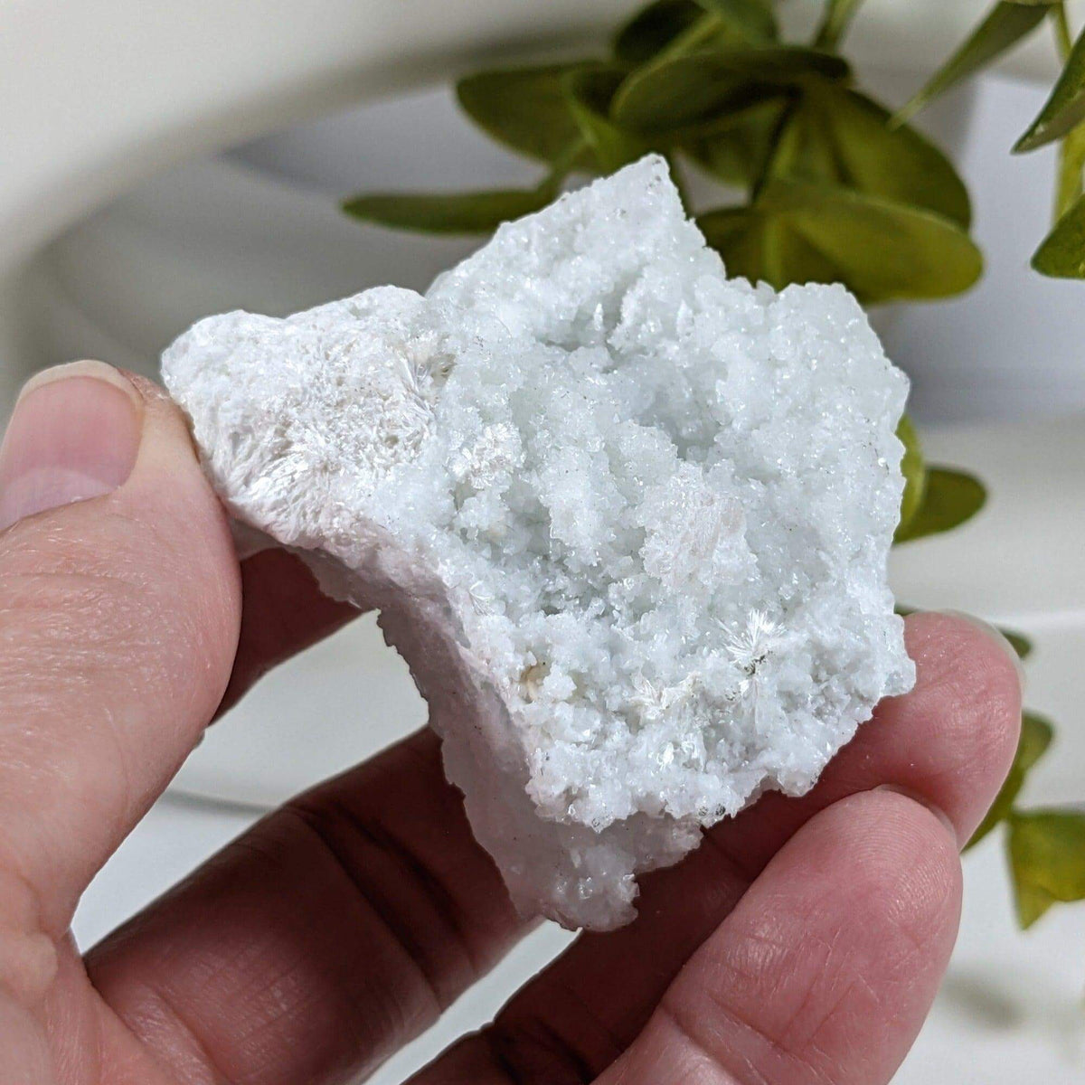 Apophyllite and Prehnite Crystal Cluster | 84 grams | Mumbai, India