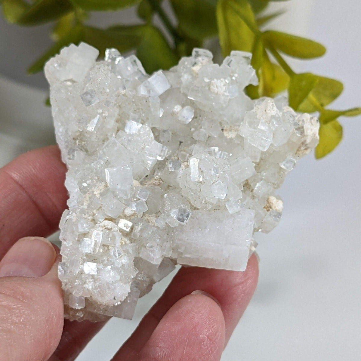 Apophyllite and Prehnite Crystal Cluster | 85 grams | Mumbai, India
