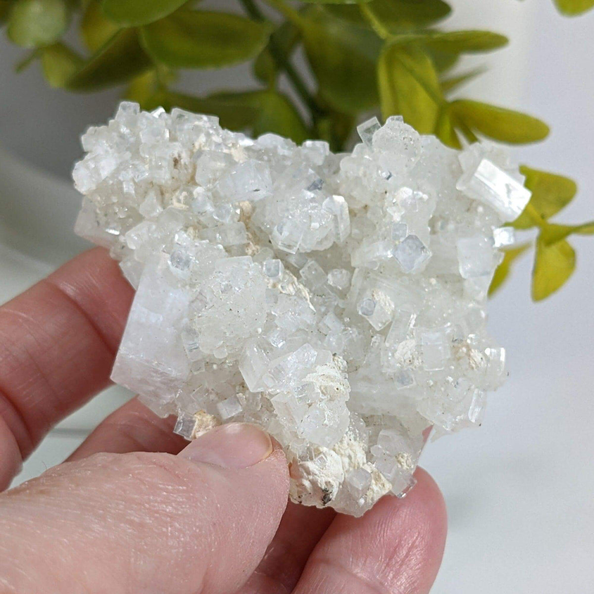 Apophyllite and Prehnite Crystal Cluster | 85 grams | Mumbai, India