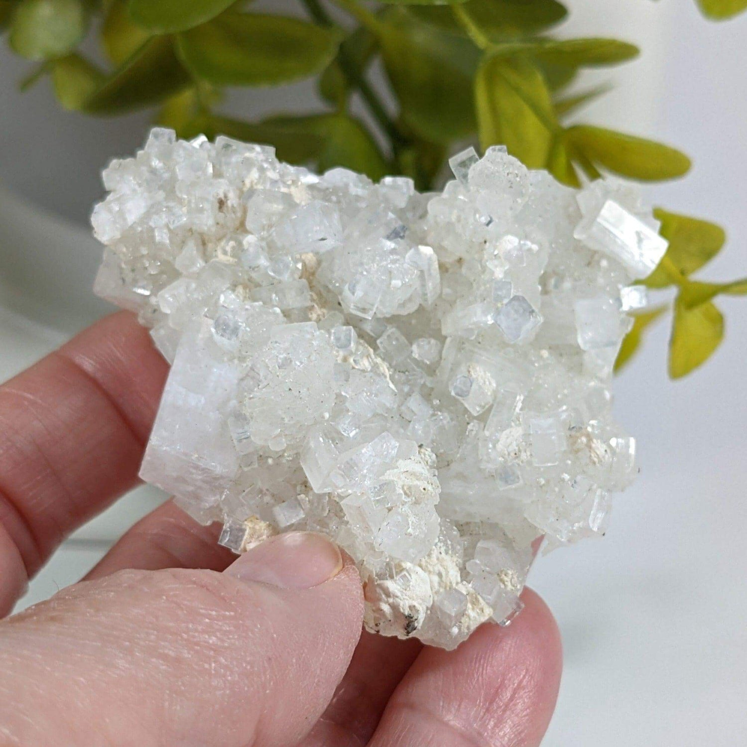 Apophyllite and Prehnite Crystal Cluster | 85 grams | Mumbai, India | Canagem.com