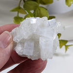 Apophyllite and Prehnite Gem Crystal Cluster | 42 grams | Mumbai, India