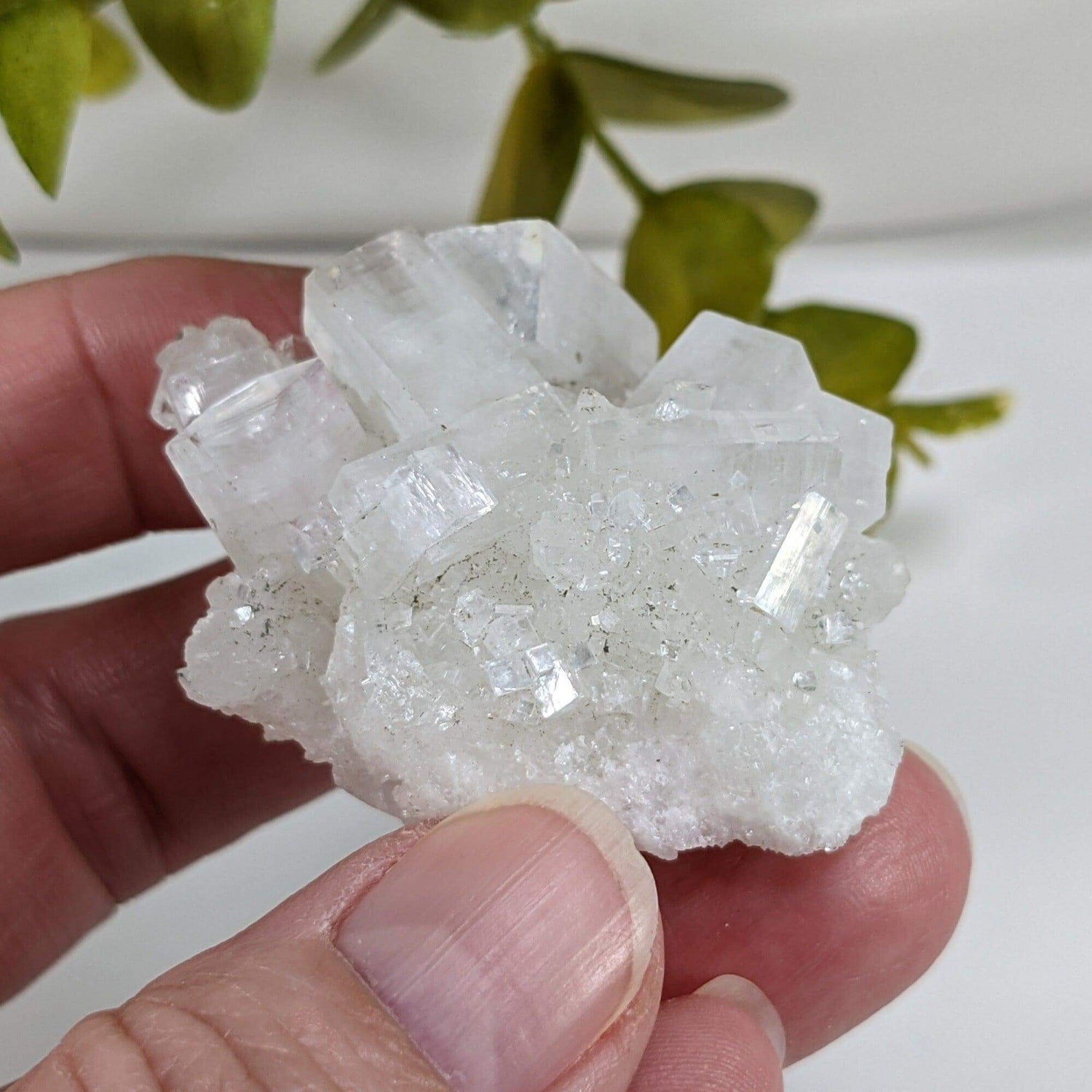 Apophyllite and Prehnite Crystal Cluster | 42 grams | Mumbai, India | Canagem.com