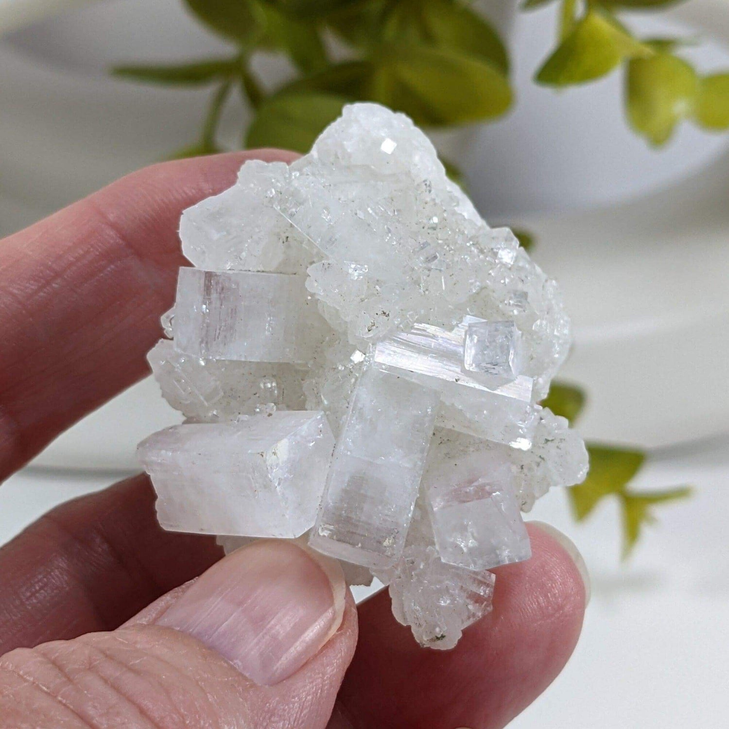 Apophyllite and Prehnite Crystal Cluster | 42 grams | Mumbai, India | Canagem.com