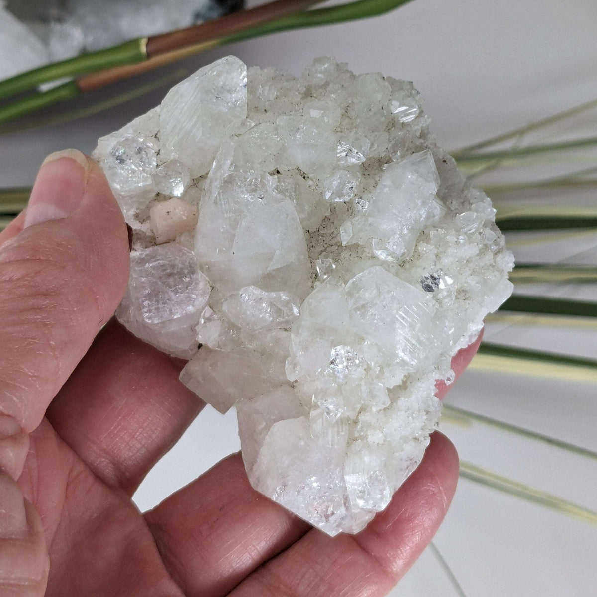 Apophyllite Cluster Crystal | 122 grams | Jalgaon, India | Canagem.com