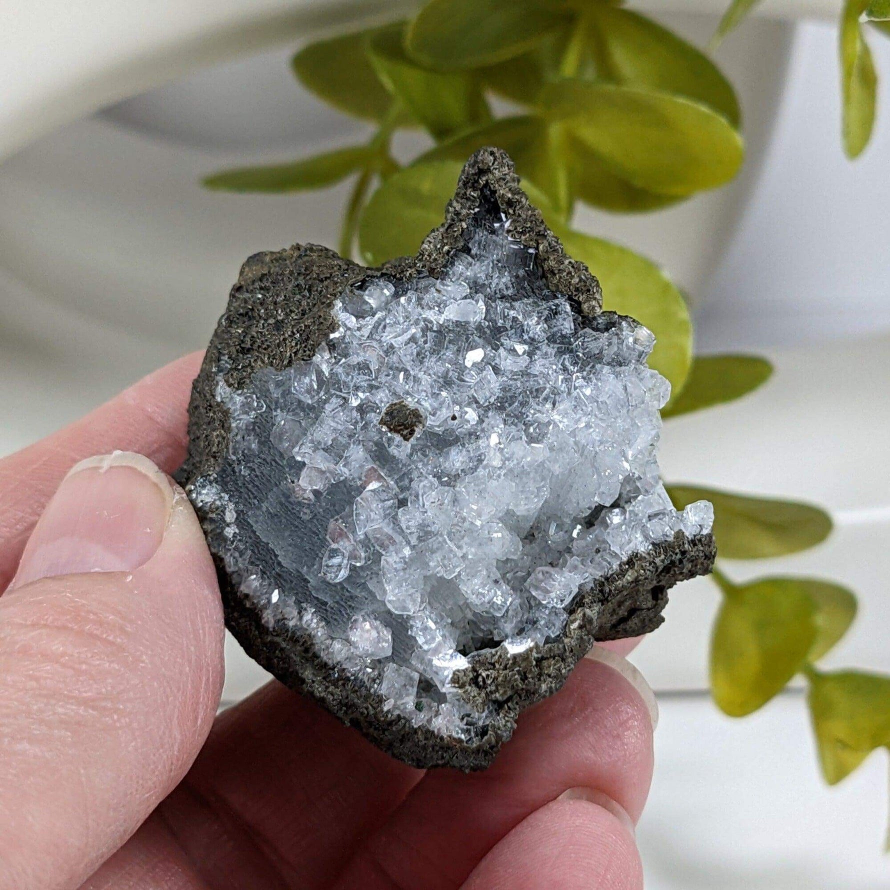 Apophyllite Cluster Crystal | 51 grams | Jalgaon, India
