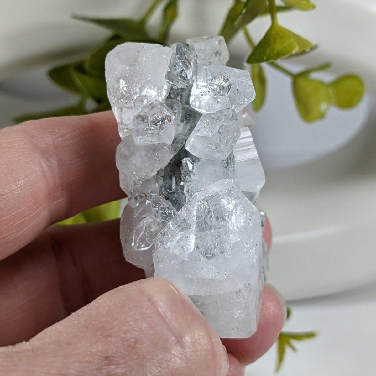  Apophyllite Cluster Crystal | 61 grams | Jalgaon, India 