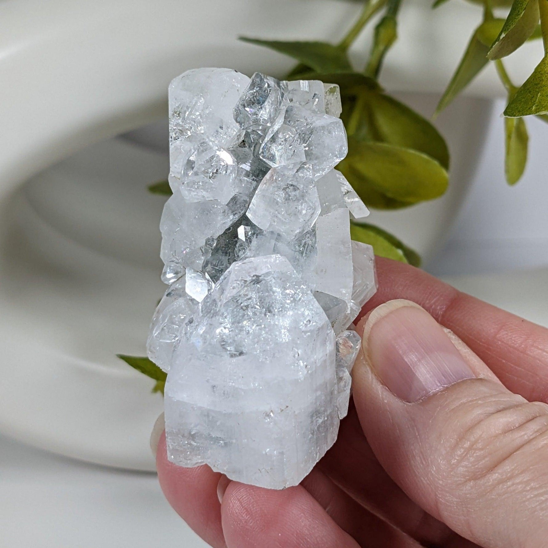  Apophyllite Cluster Crystal | 61 grams | Jalgaon, India 