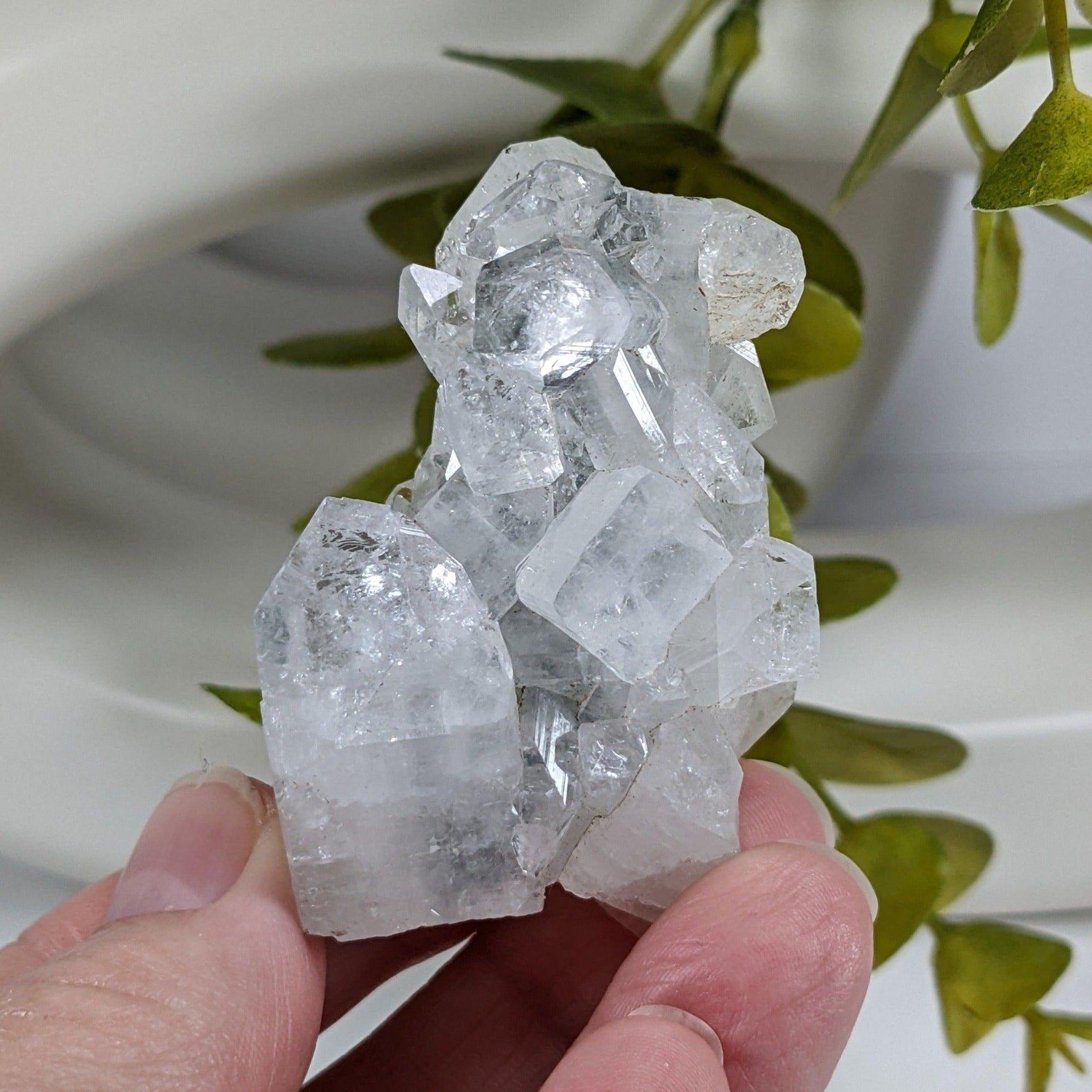  Apophyllite Cluster Crystal | 61 grams | Jalgaon, India 