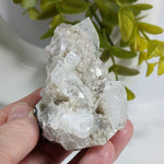 Apophyllite Crystal Cluster | 147 grams | Jalgaon, India