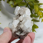 Apophyllite Crystal Cluster | 147 grams | Jalgaon, India