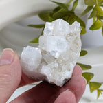 Apophyllite Crystal on Prehnite Cluster | 68 grams | Mumbai, India