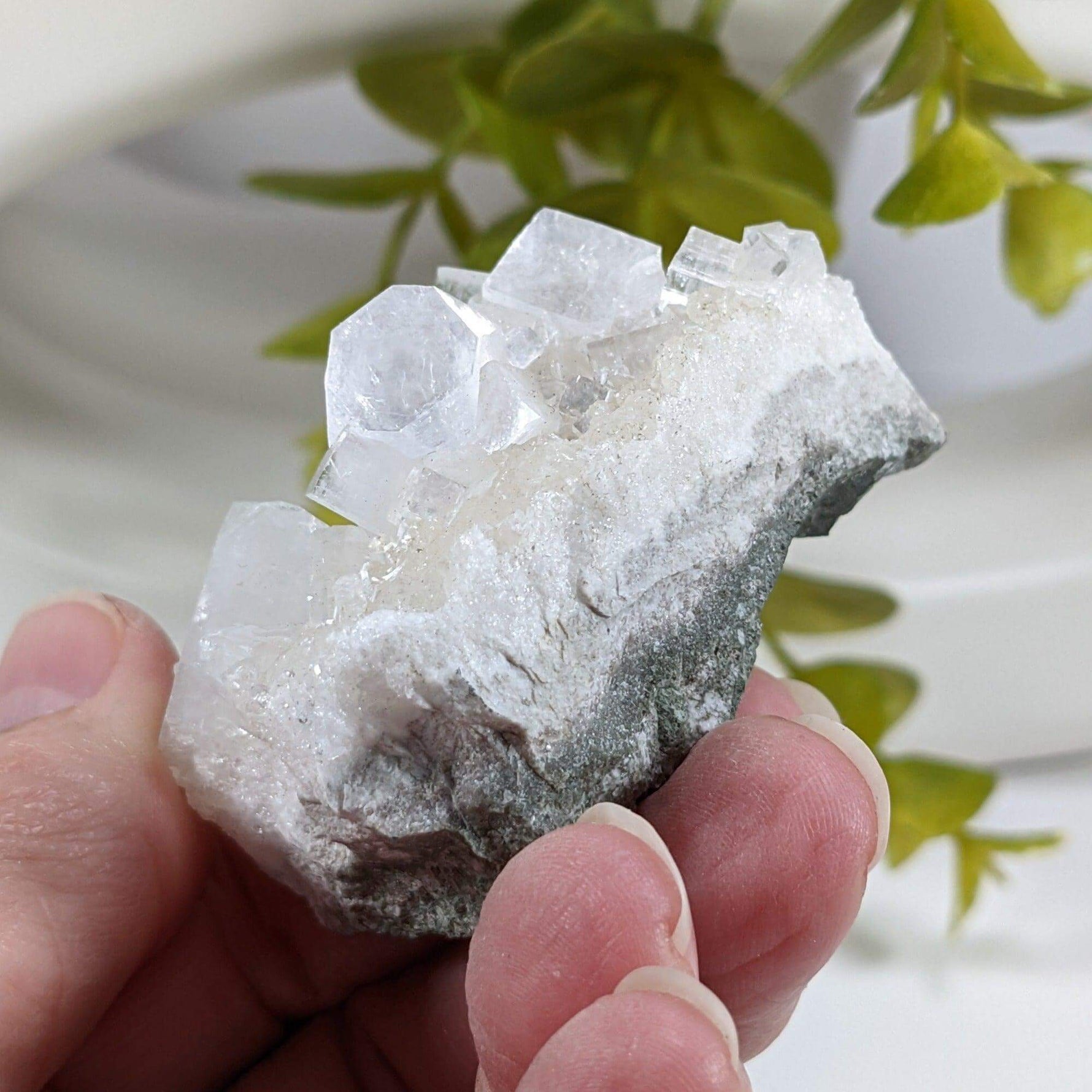 Apophyllite Crystal on Prehnite Cluster | 68 grams | Mumbai, India