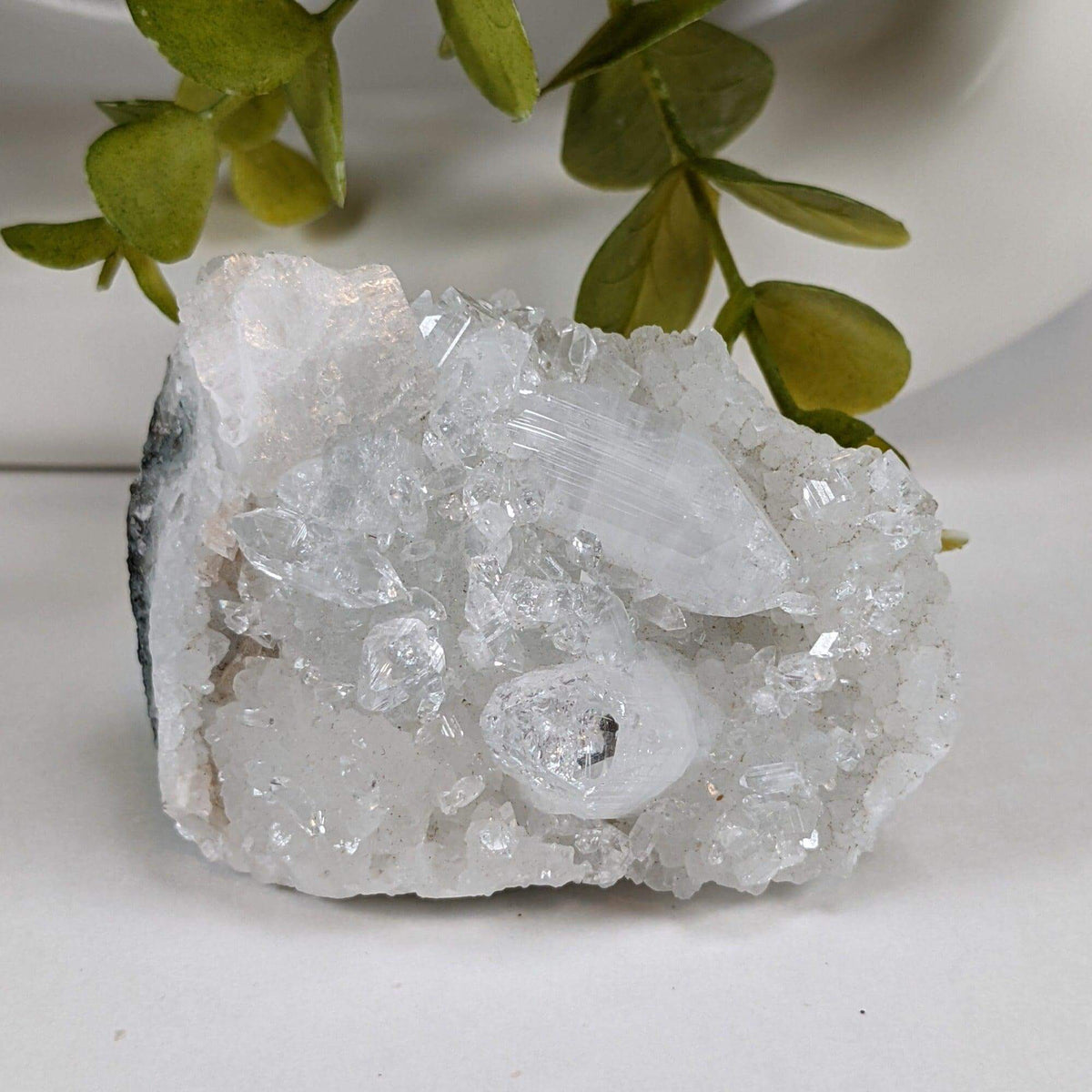 Apophyllite on Prehnite Crystal Cluster | 138 grams | India