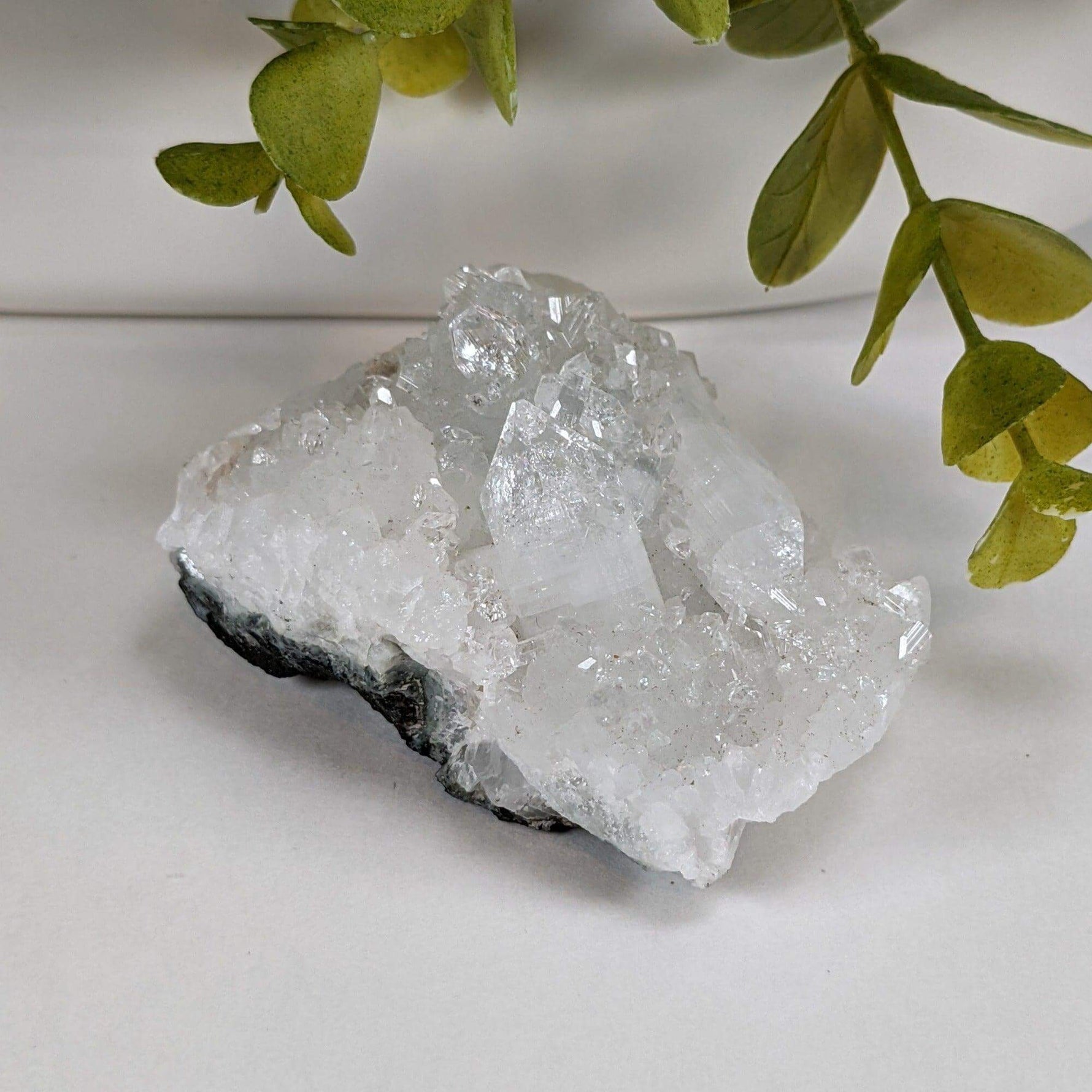 Apophyllite on Prehnite Crystal Cluster | 138 grams | India
